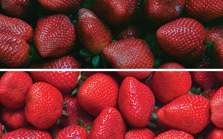 color-rendering-index-cri-wipro-lighting